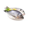 Copper River Natural Salmon Fish - Image 6